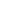 wraith_name.png